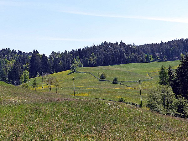 Foto:: Wanderung / Oberinn / 17.05.2015 (Foto,Fotos,Bilder,Bild,)
