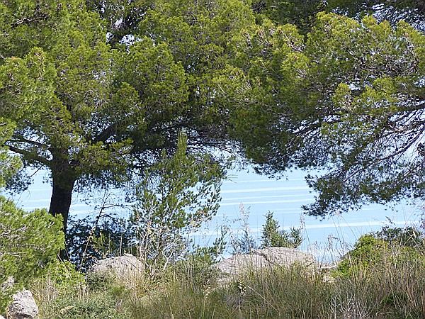 Foto:: Wanderung / Port de Soller / 25.05.2016 (Foto,Fotos,Bilder,Bild,)