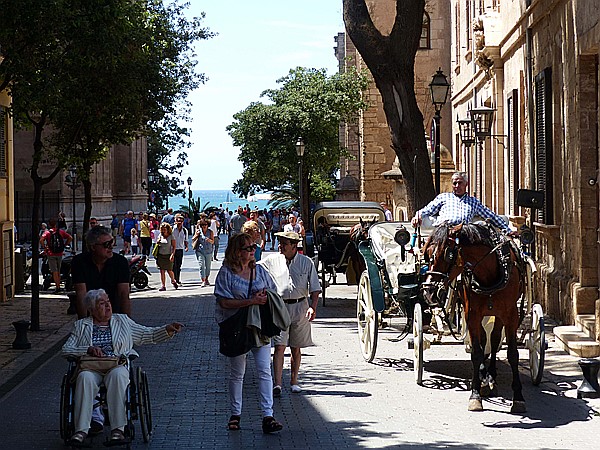 Foto:: Rundgang / Palma de Mallorca / 29.05.2016 (Foto,Fotos,Bilder,Bild,)