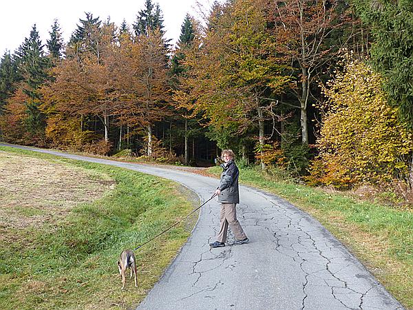 Foto:: Wanderung / Mitterfirmiansreut - Hammerklause / 24.10.2016 (Foto,Fotos,Bilder,Bild,)