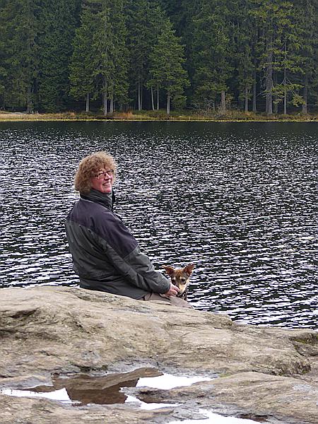 Foto:: Rundgang Grosser Arbersee / Bayerisch Eisenstein / 26.10.2016 (Foto,Fotos,Bilder,Bild,)