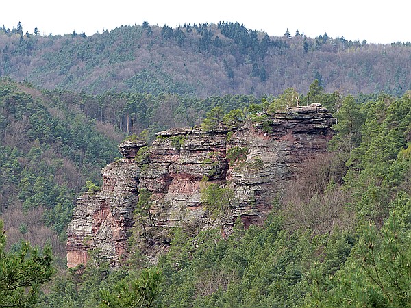 Foto:: Wanderung / Hauenstein / 31.03.2017 (Foto,Fotos,Bilder,Bild,)