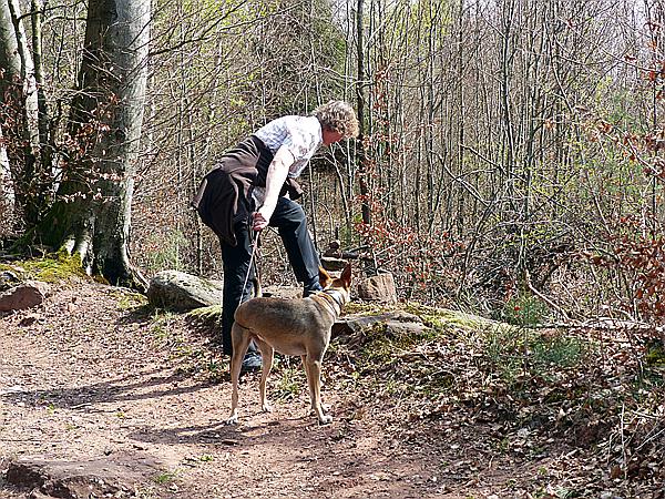 Foto:: Wanderung / Eppenbrunn / 01.04.2017 (Foto,Fotos,Bilder,Bild,)