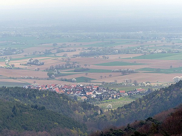 Foto:: Wanderung / Doerrenbach / 02.04.2017 (Foto,Fotos,Bilder,Bild,)