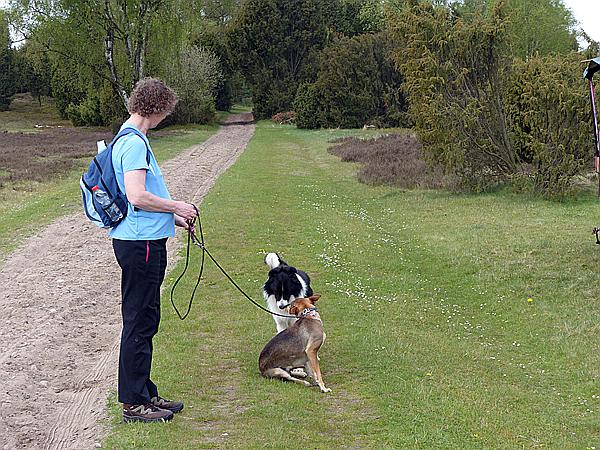 Foto:: Wanderung / Schneverdingen / 13.05.2017 (Foto,Fotos,Bilder,Bild,)