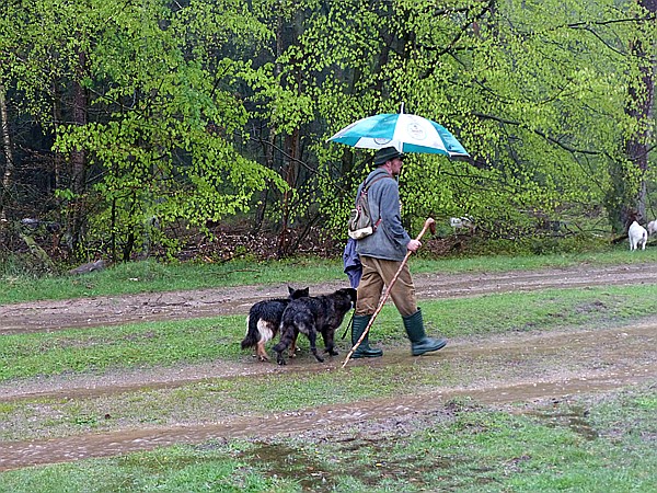 Foto:: Wanderung / Schneverdingen / 13.05.2017 (Foto,Fotos,Bilder,Bild,)