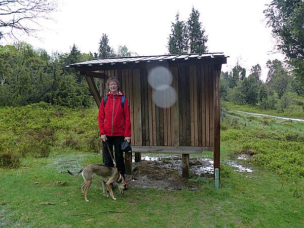 Foto:: Wanderung / Schneverdingen / 13.05.2017 (Foto,Fotos,Bilder,Bild,)