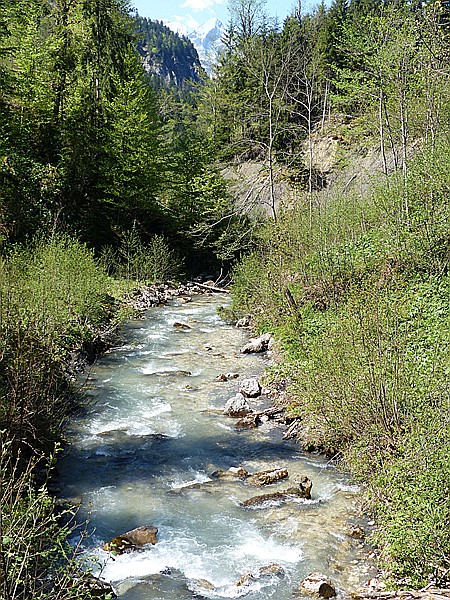 Foto:: Wanderung / Garmisch-Mittenwald / 22.05.2017 (Foto,Fotos,Bilder,Bild,)