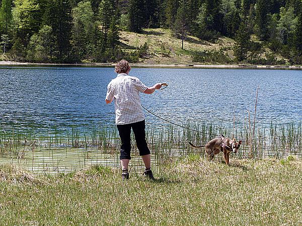 Foto:: Wanderung / Garmisch-Mittenwald / 22.05.2017 (Foto,Fotos,Bilder,Bild,)