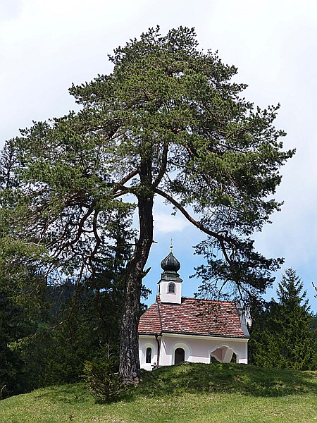 Foto:: Wanderung / Garmisch-Mittenwald / 22.05.2017 (Foto,Fotos,Bilder,Bild,)