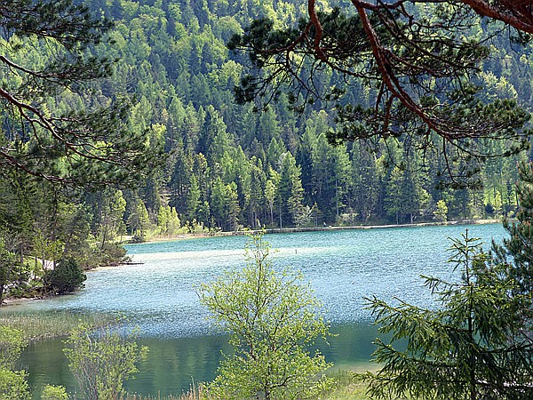 Foto:: Wanderung / Garmisch-Mittenwald / 22.05.2017 (Foto,Fotos,Bilder,Bild,)