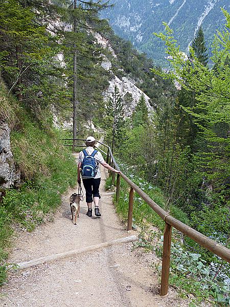 Foto:: Wanderung / Garmisch-Mittenwald / 22.05.2017 (Foto,Fotos,Bilder,Bild,)