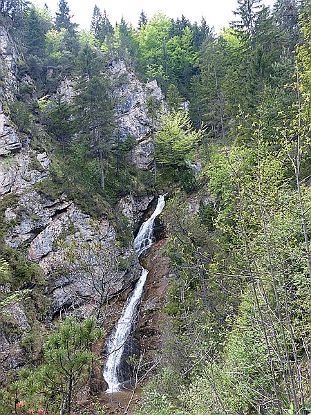 Foto:: Wanderung / Garmisch-Mittenwald / 22.05.2017 (Foto,Fotos,Bilder,Bild,)