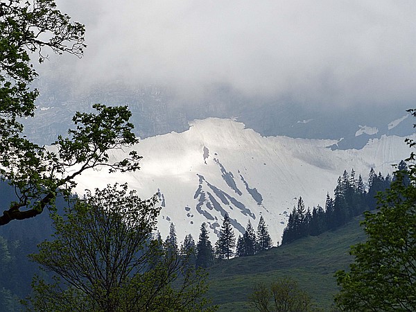 Foto:: Wanderung / Eng Alm - Binsalm / 24.05.2017 (Foto,Fotos,Bilder,Bild,)