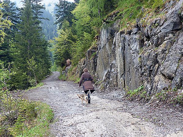 Foto:: Wanderung / Eng Alm - Binsalm / 24.05.2017 (Foto,Fotos,Bilder,Bild,)