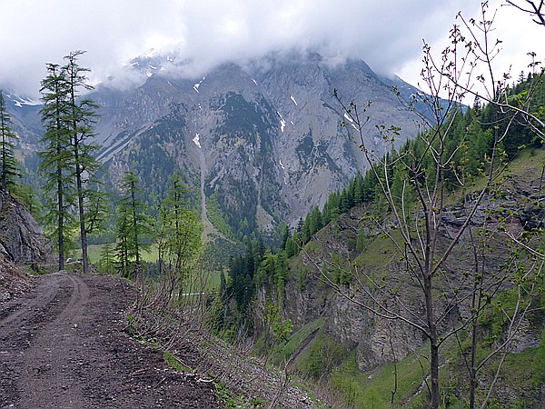 Foto:: Wanderung / Eng Alm - Binsalm / 24.05.2017 (Foto,Fotos,Bilder,Bild,)