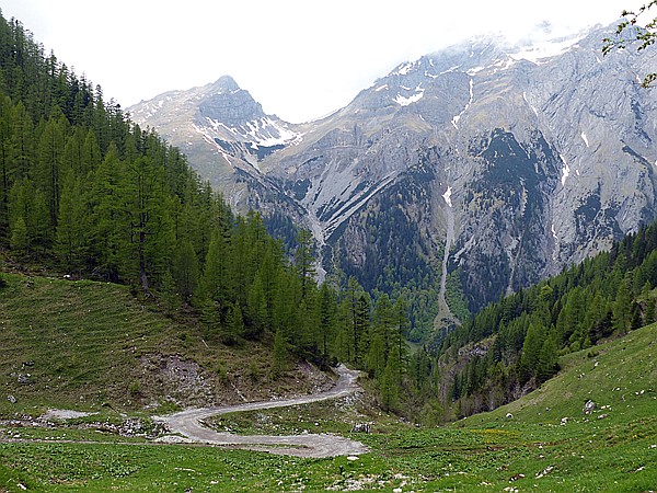 Foto:: Wanderung / Eng Alm - Binsalm / 24.05.2017 (Foto,Fotos,Bilder,Bild,)