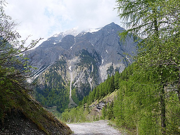 Foto:: Wanderung / Eng Alm - Binsalm / 24.05.2017 (Foto,Fotos,Bilder,Bild,)