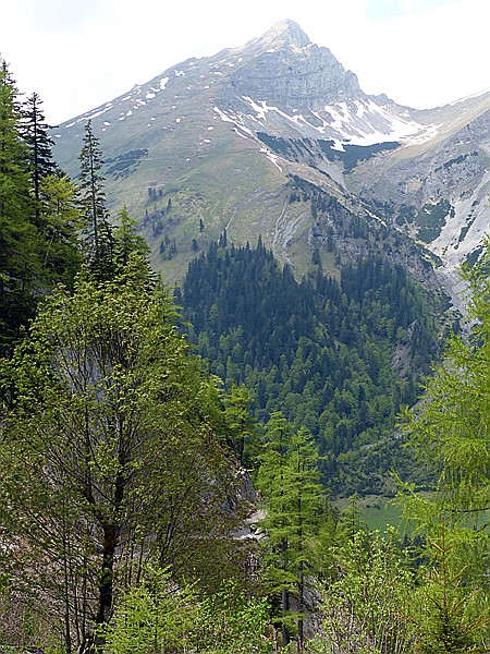 Foto:: Wanderung / Eng Alm - Binsalm / 24.05.2017 (Foto,Fotos,Bilder,Bild,)