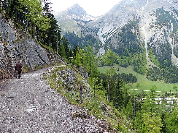 Foto:: Wanderung / Eng Alm - Binsalm / 24.05.2017 (Foto,Fotos,Bilder,Bild,)