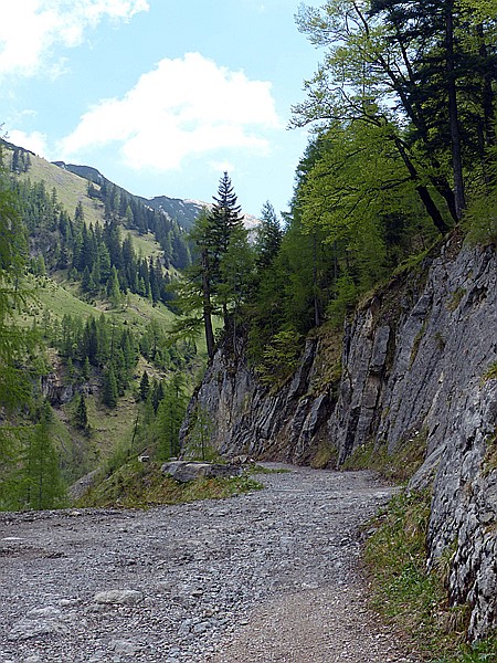 Foto:: Wanderung / Eng Alm - Binsalm / 24.05.2017 (Foto,Fotos,Bilder,Bild,)