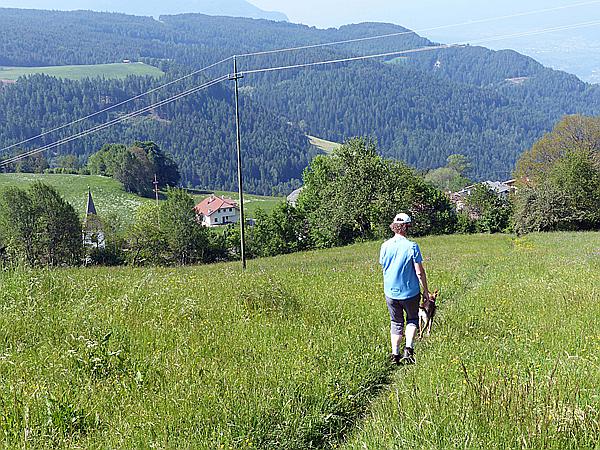 Foto:: Wanderung / Oberinn - Oberbozen - Oberinn / 28.05.2017 (Foto,Fotos,Bilder,Bild,)
