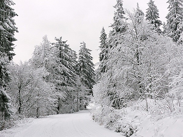 Foto:: Rundgang / Mitterfirmiansreut / 03.12.2017 (Foto,Fotos,Bilder,Bild,)