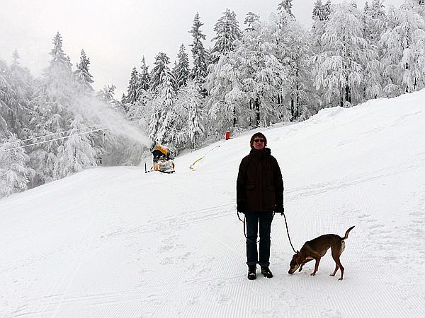 Foto:: Rundgang / Mitterfirmiansreut / 03.12.2017 (Foto,Fotos,Bilder,Bild,)