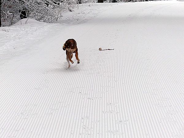 Foto:: Rundgang / Mitterfirmiansreut / 03.12.2017 (Foto,Fotos,Bilder,Bild,)