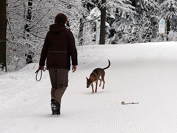 Foto:: Rundgang / Mitterfirmiansreut / 03.12.2017 (Foto,Fotos,Bilder,Bild,)