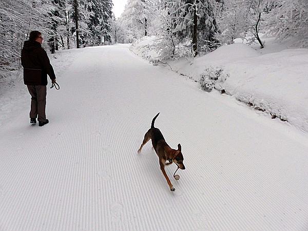 Foto:: Rundgang / Mitterfirmiansreut / 03.12.2017 (Foto,Fotos,Bilder,Bild,)