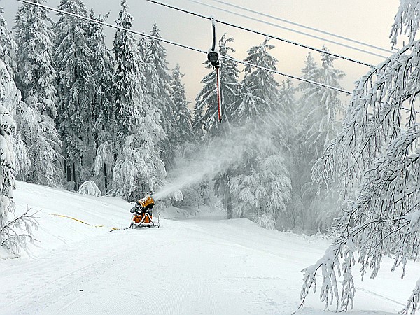 Foto:: Rundgang / Mitterfirmiansreut / 03.12.2017 (Foto,Fotos,Bilder,Bild,)