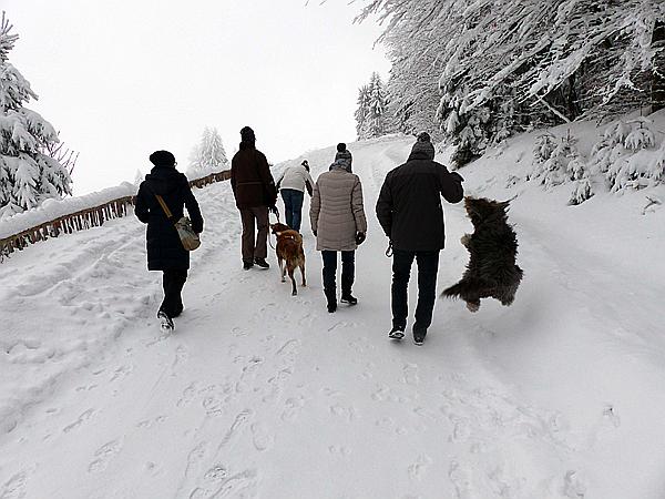 Foto:: Rundgang / Mitterfirmiansreut / 04.12.2017 (Foto,Fotos,Bilder,Bild,)