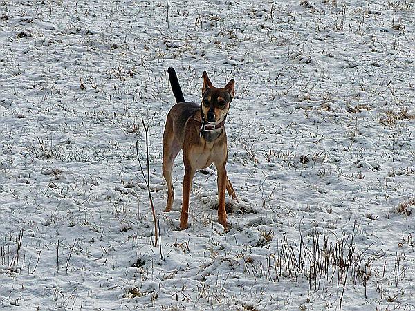 Foto:: Wanderung / Stolberg - Strassberg / 05.02.2018 (Foto,Fotos,Bilder,Bild,)