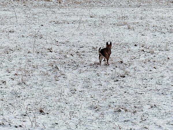 Foto:: Wanderung / Stolberg - Strassberg / 05.02.2018 (Foto,Fotos,Bilder,Bild,)