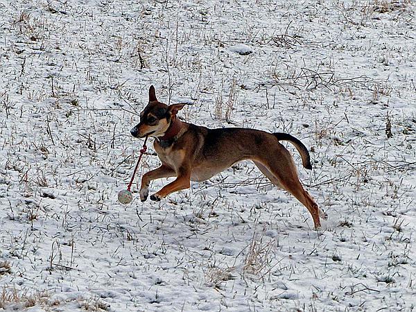 Foto:: Wanderung / Stolberg - Strassberg / 05.02.2018 (Foto,Fotos,Bilder,Bild,)