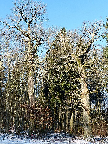 Foto:: Wanderung / Stolberg / 06.02.2018 (Foto,Fotos,Bilder,Bild,)