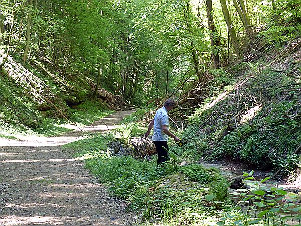 Foto:: Hexenklamm (Foto,Fotos,Bilder,Bild,)