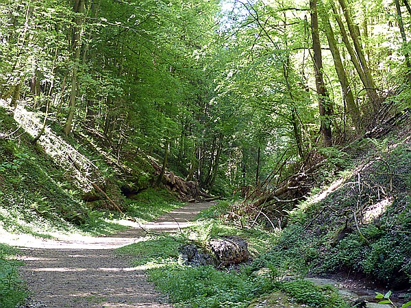 Foto:: Hexenklamm (Foto,Fotos,Bilder,Bild,)