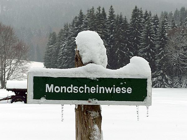 Foto:: Schneewanderung / Neustadt am Rennsteig / 05.02.2019 (Foto,Fotos,Bilder,Bild,)