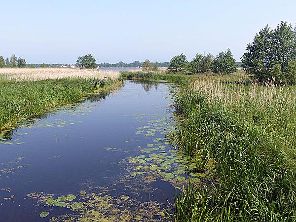 Foto:: Wanderung / Niechorze / 04.06.2019 (Foto,Fotos,Bilder,Bild,)