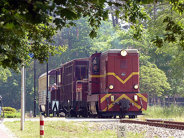 Foto:: Wanderung / Niechorze / 04.06.2019 (Foto,Fotos,Bilder,Bild,)