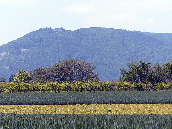 Foto:: Rundgang / Heuchelheim / 17.05.2020 (Foto,Fotos,Bilder,Bild,)