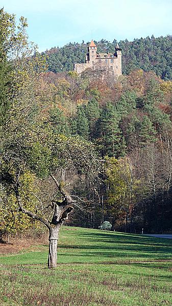 Foto:: Burg Berwartstein / Erlenbach / 14.11.2020 (Foto,Fotos,Bilder,Bild,)