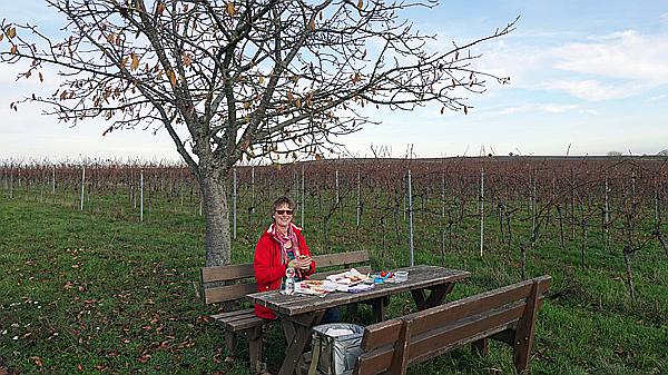 Foto:: Weinberge / Heuchelheim / 14.11.2020 (Foto,Fotos,Bilder,Bild,)