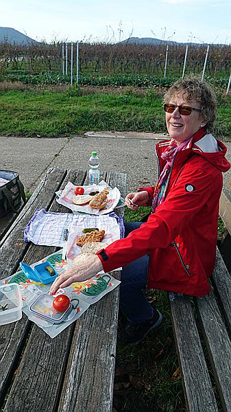 Foto:: Weinberge / Heuchelheim / 14.11.2020 (Foto,Fotos,Bilder,Bild,)