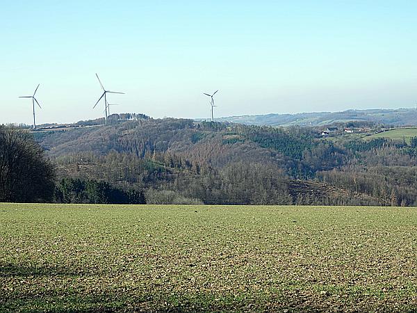 Foto:: Wanderung / Wiblingwerde / 28.02.2021 (Foto,Fotos,Bilder,Bild,)