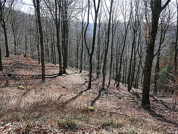 Foto:: Wanderung / Wiblingwerde / 28.02.2021 (Foto,Fotos,Bilder,Bild,)