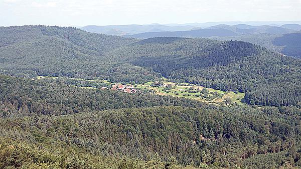 Foto:: Dornroeschenwanderweg / Doerrenbach / 20.07.2021 (Foto,Fotos,Bilder,Bild,)