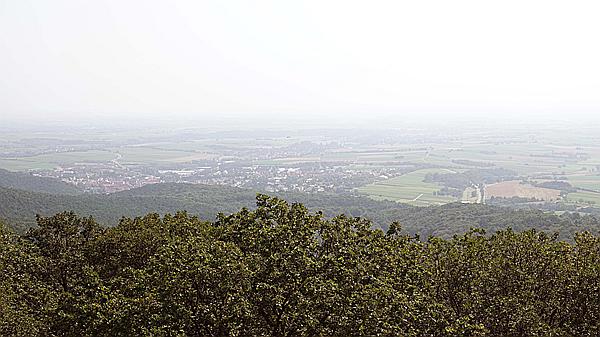 Foto:: Dornroeschenwanderweg / Doerrenbach / 20.07.2021 (Foto,Fotos,Bilder,Bild,)